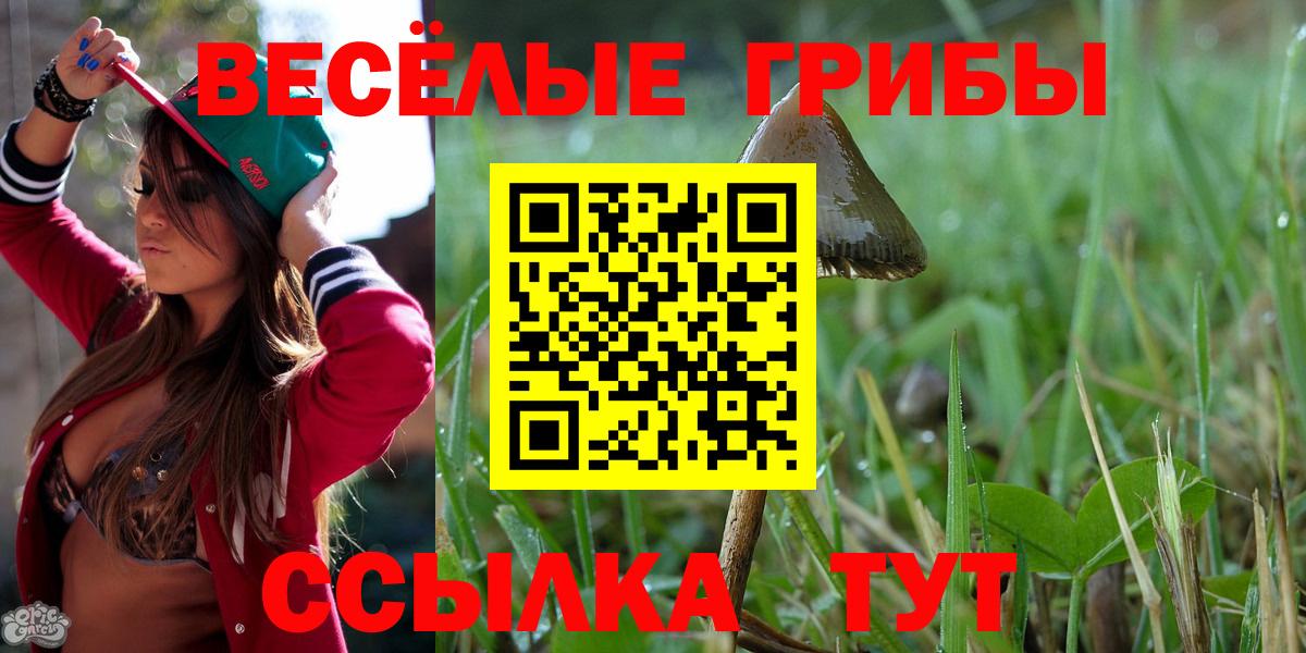 где можно купить   Галлюциногенные грибы мухоморы  Корсаков  Вход с VPN  Галлюциногенные грибы Magic Shrooms 