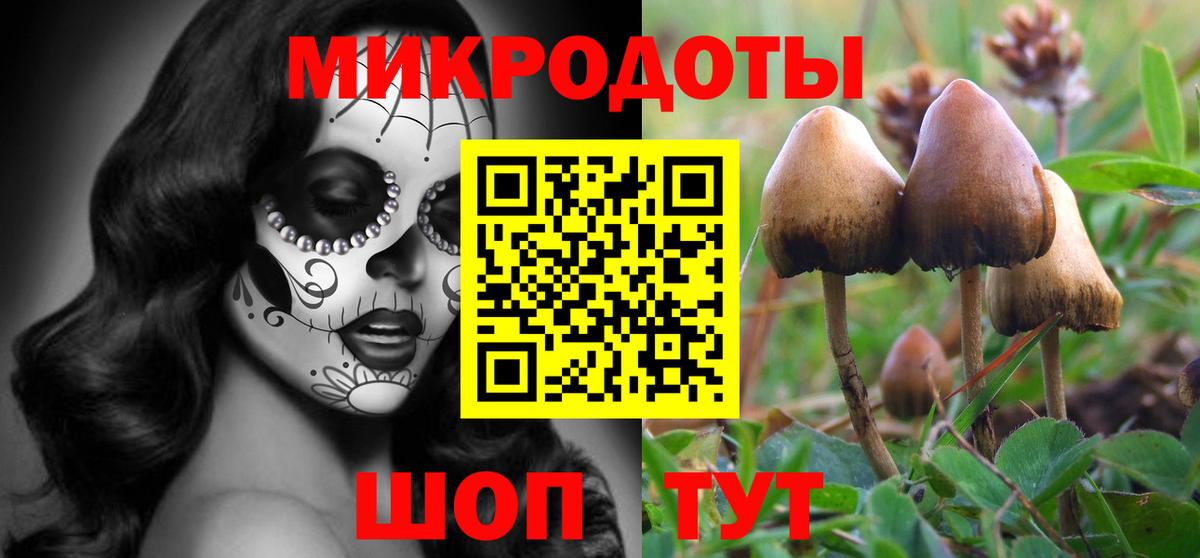 Псилоцибиновые грибы GOLDEN TEACHER Корсаков